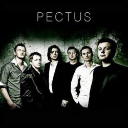Pectus - To co chciałbym ci dać