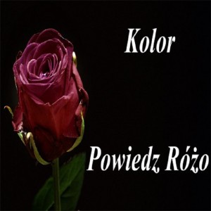 Powiedz Różo